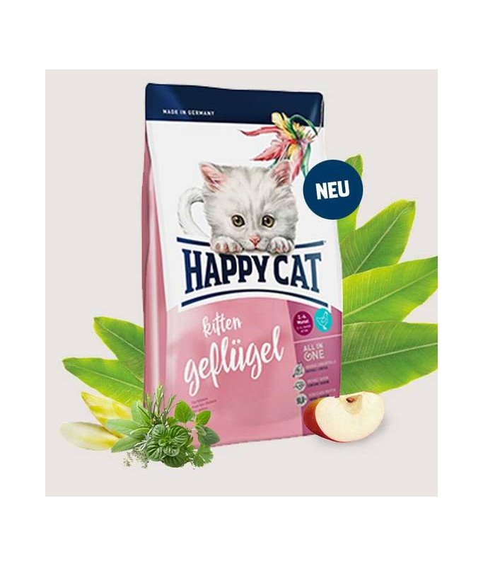 eukanuba wet cat food